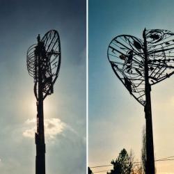 L'albero contadino (9.8 m di altezza -San Miniato - Toscana)